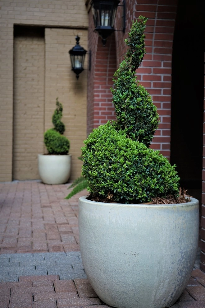 Courtyards + Rooftops by The Plant Gallery - Photo 25