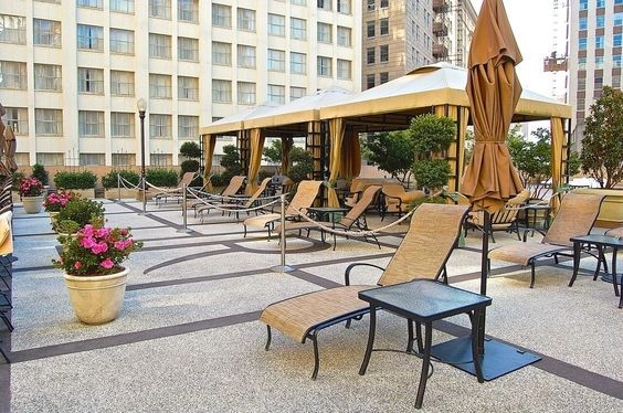 Courtyards + Rooftops by The Plant Gallery - Photo 19