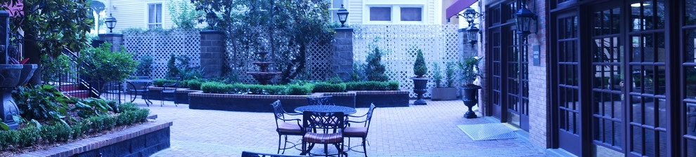Courtyards + Rooftops by The Plant Gallery - Photo 23