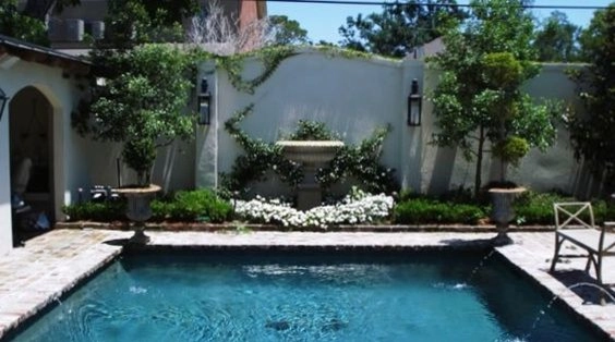 Back Landscaping by The Plant Gallery - Photo 5