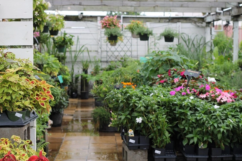 Spring 2018 by The Plant Gallery - Photo 10