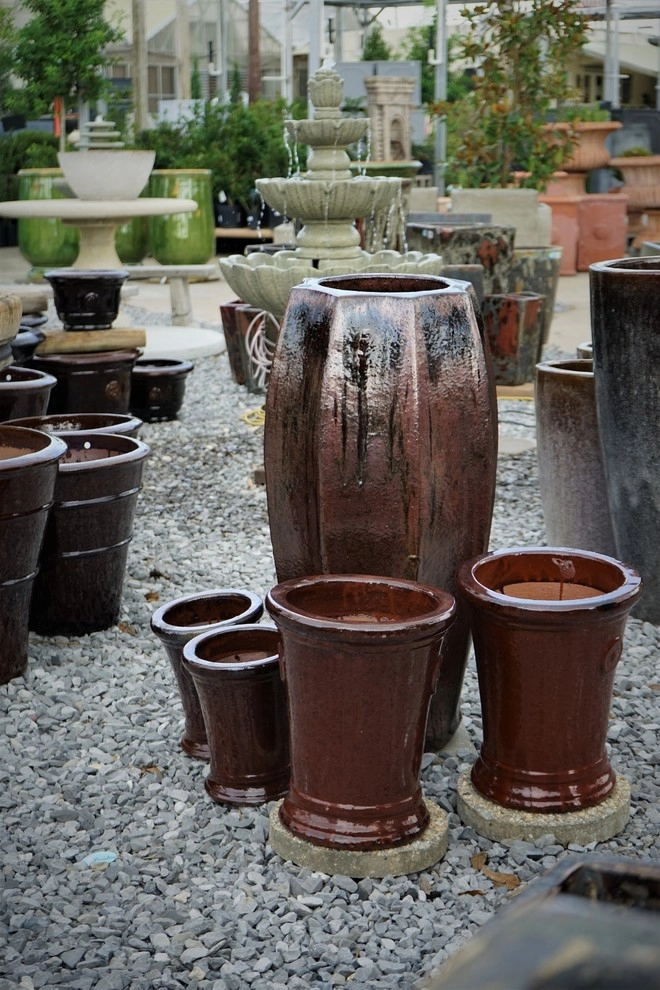 Spring 2018 by The Plant Gallery - Photo 6