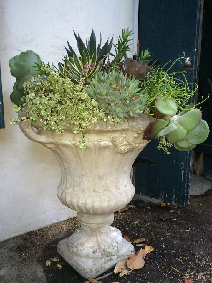 Planter Design by The Plant Gallery - Photo 8