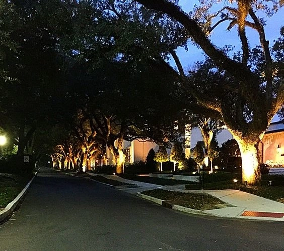 Landscape Lighting by The Plant Gallery - Photo 2