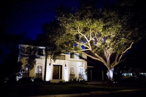 Landscape Lighting by The Plant Gallery - Photo 9