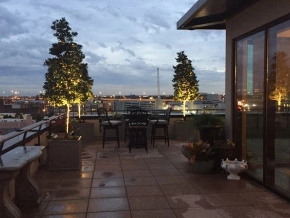 Landscape Lighting by The Plant Gallery - Photo 5