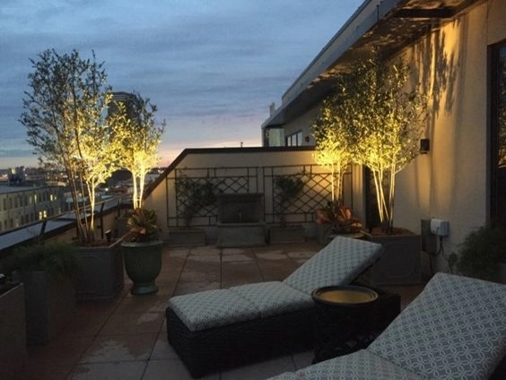 Landscape Lighting by The Plant Gallery - Photo 8