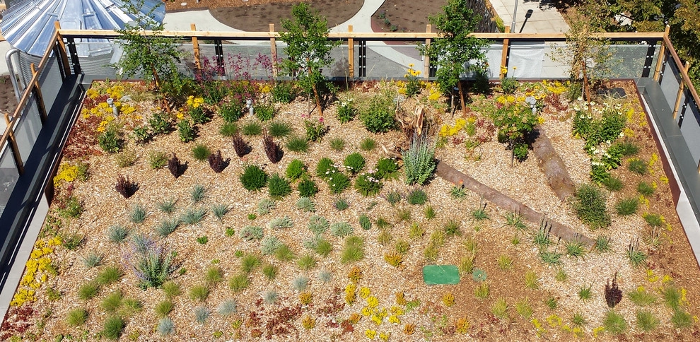 The Watershed Company - Photo 12