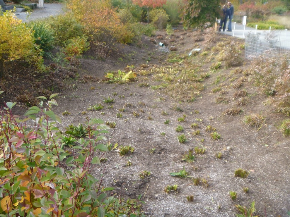 Bellevue Botanical Garden by The Watershed Company - Photo 3