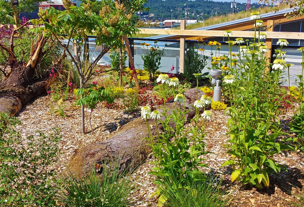 The Watershed Company - Photo 6