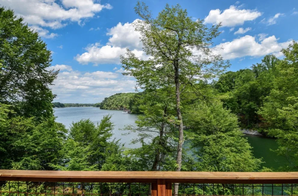 Cove's Cabin by Grant & Grant Design Group - Photo 13