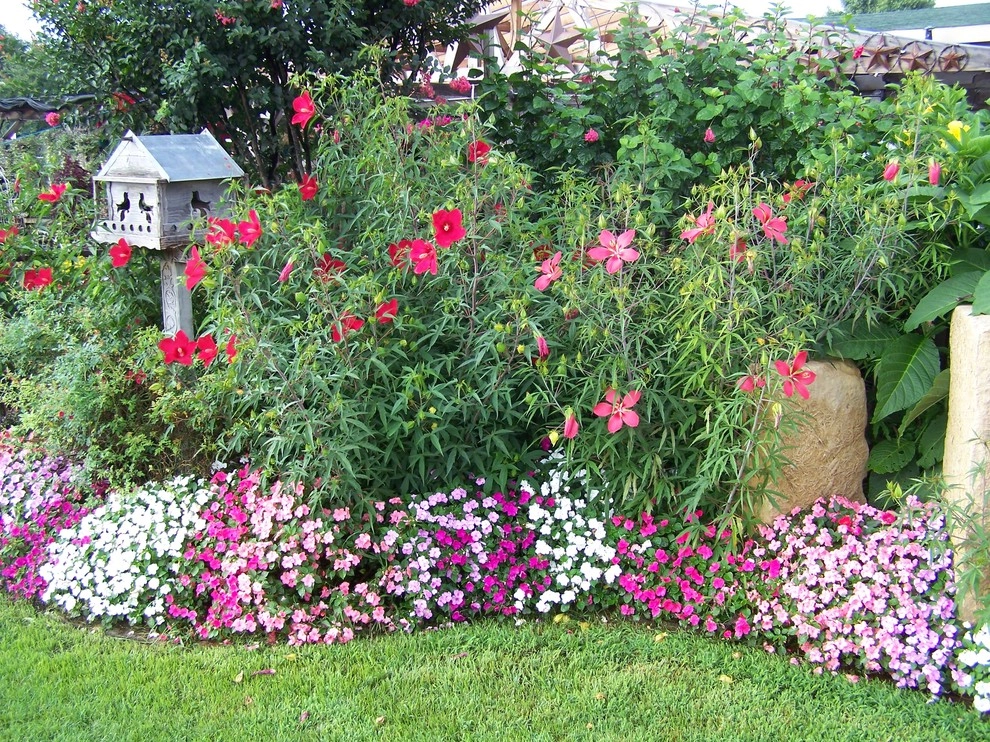 Brumley Gardens - Photo 7