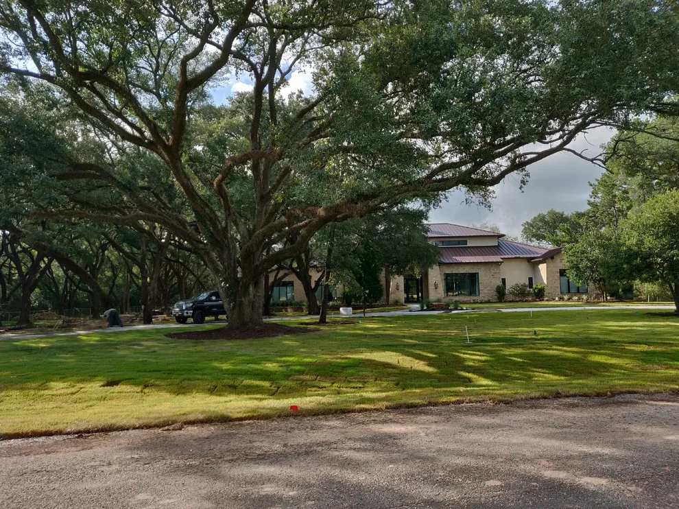 Tailored Home - Hockley, TX - Century Oaks by Darrin Harvey Designs - Photo 8