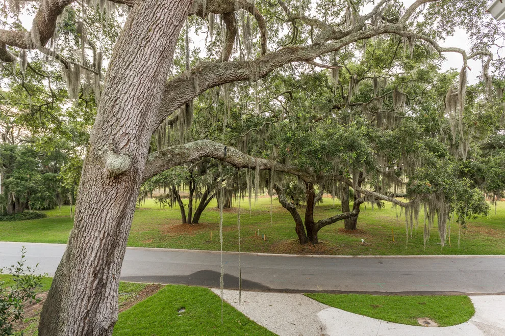 Frederica Grove by DesignHouse SSI, LLC - Photo 20