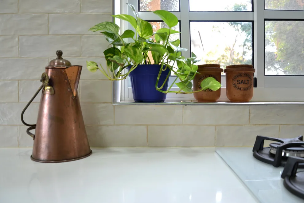 Eco-Friendly Kitchen by Medzini Designs - Photo 14