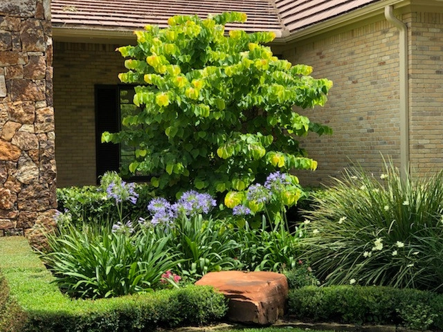 Landscaping by Thompson's Landscaping - Photo 30
