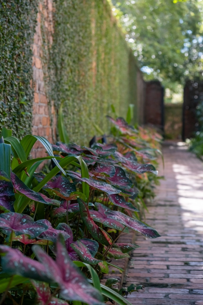 Landscaping by Thompson's Landscaping - Photo 34
