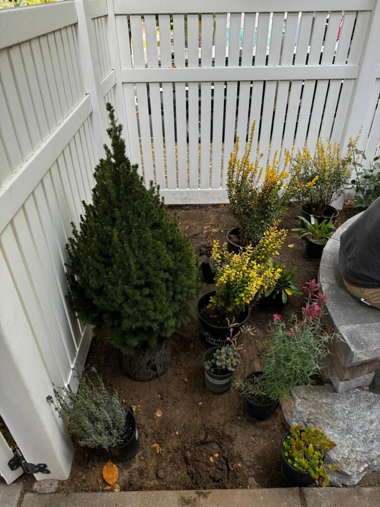 English influence garden by Tierra Gardens GC, LLC - Photo 17
