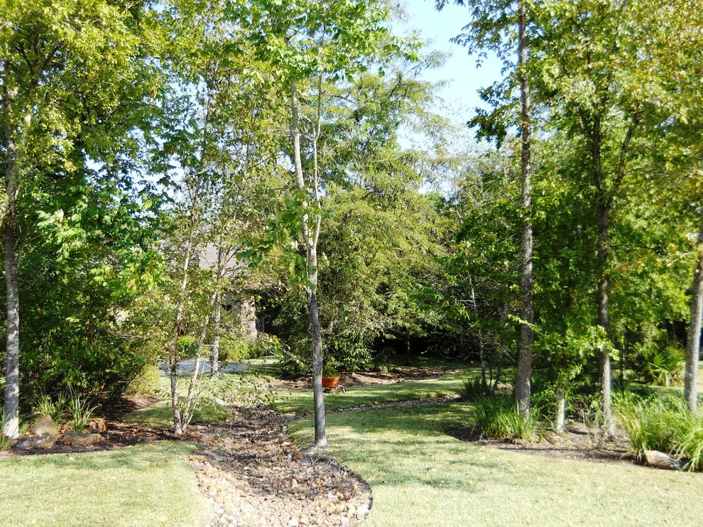 Montgomery Design and Build on Parkside Boulevard by Whiteley & Whiteley - Photo 12