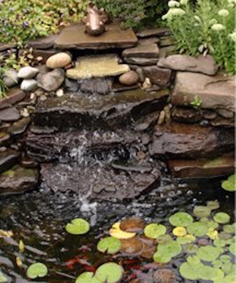 TM Garden Design - Photo 11