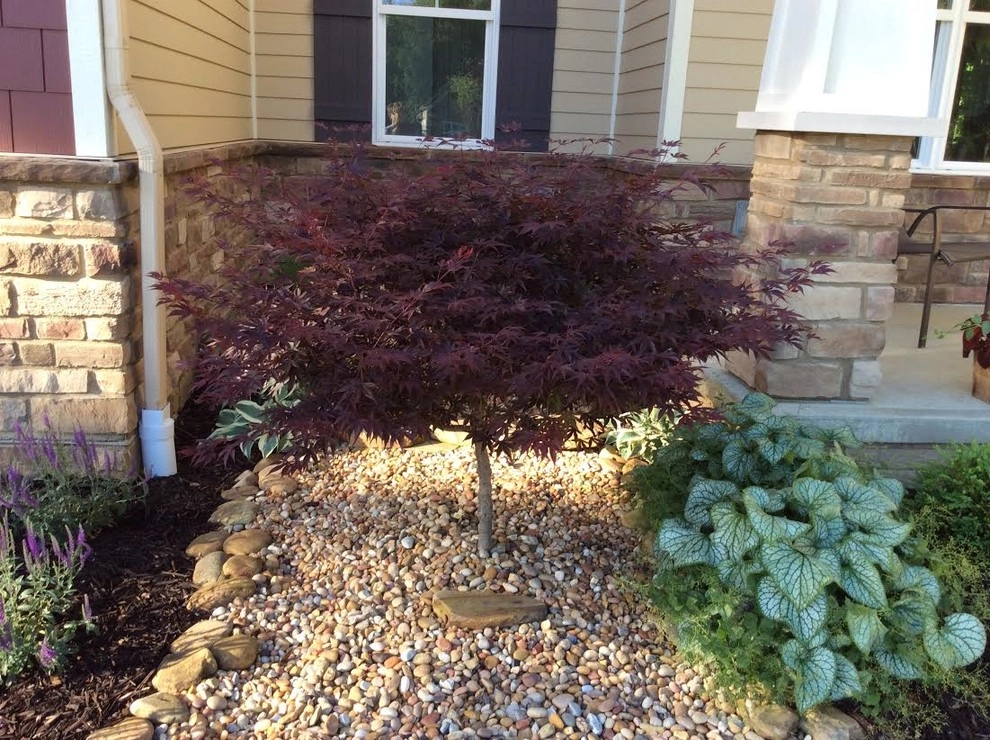 TM Garden Design - Photo 6