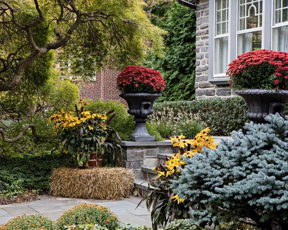Moorestown Entryway by Beechwood Landscape Architecture And Construction - Photo 5