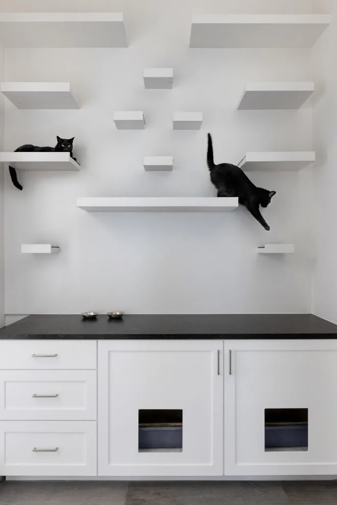 Contemporary Organic by Kelley Design Group - Photo 7