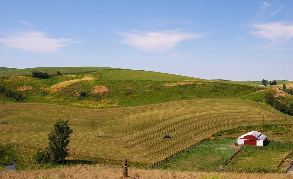 Heavenly Haven on the Palouse by Design Services NW - Photo 10