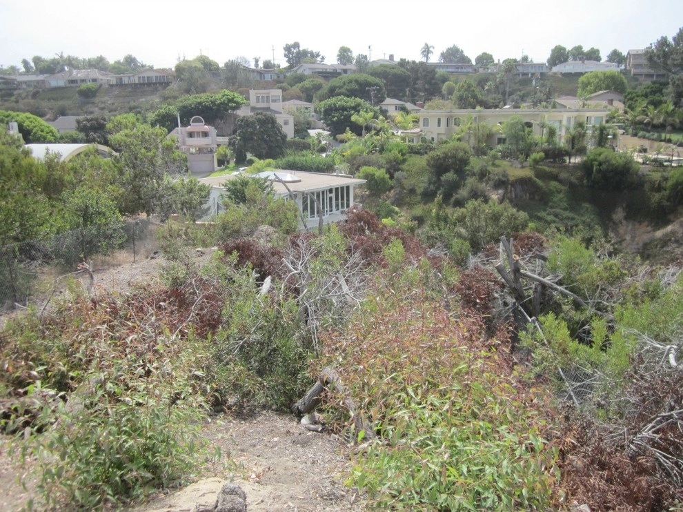 La Jolla Backyard With A View by Torrey Pines Landscape Co., Inc - Photo 9