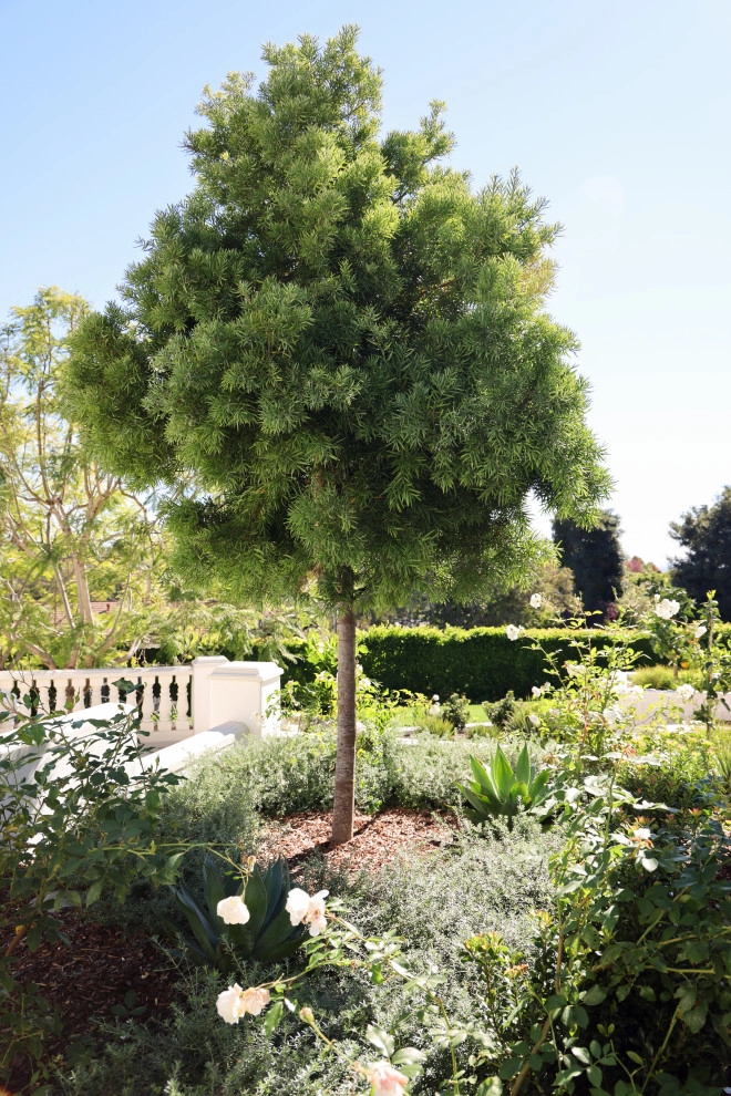 La Jolla Scenic by Torrey Pines Landscape Co., Inc - Photo 9