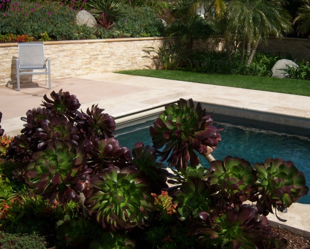 La Jolla Outdoor Living by Torrey Pines Landscape Co., Inc - Photo 5