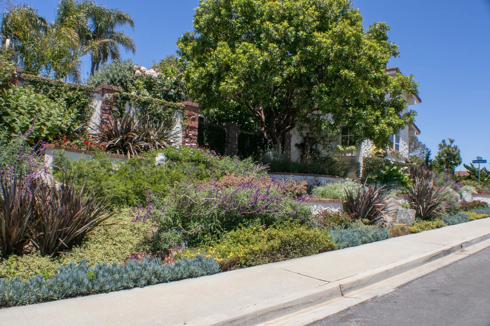 Del Mar garden street frontage by Torrey Pines Landscape Co., Inc - Photo 3