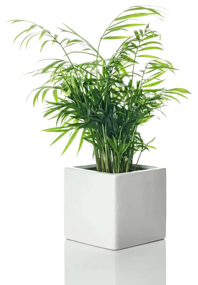 SQ2 Planter System by West Oak Designs - Photo 2