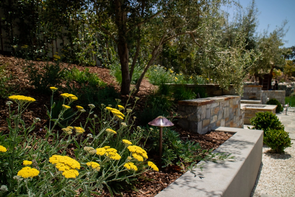 La Jolla Contemporary by Torrey Pines Landscape Co., Inc - Photo 6