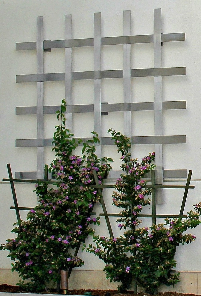 La Jolla Outdoor Living by Torrey Pines Landscape Co., Inc - Photo 4