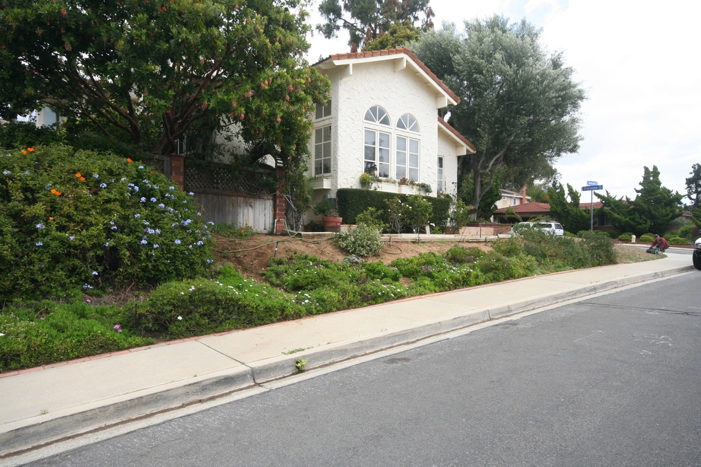 Del Mar garden street frontage by Torrey Pines Landscape Co., Inc - Photo 4