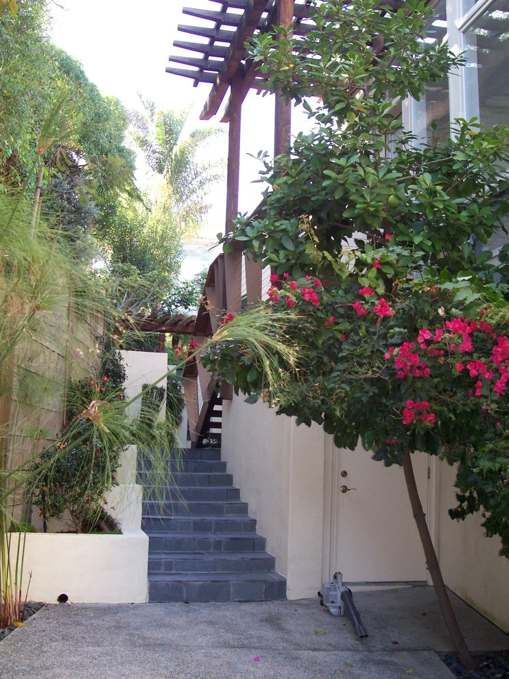 La Jolla Modern Coastal Courtyard by Torrey Pines Landscape Co., Inc - Photo 2