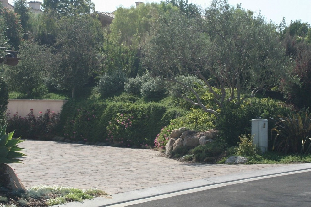 Rancho Santa Fe Landscape Project by Torrey Pines Landscape Co., Inc - Photo 2