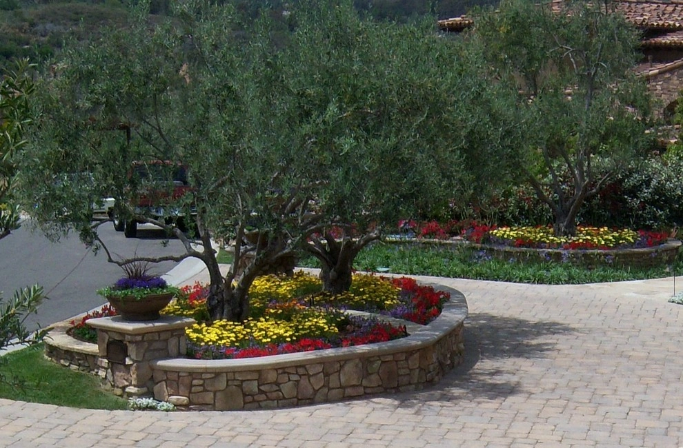 Rancho Santa Fe Landscape Project by Torrey Pines Landscape Co., Inc - Photo 8
