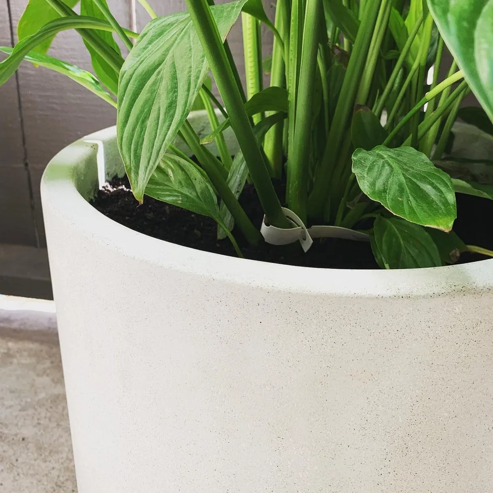 Circular Planter by West Oak Designs - Photo 4