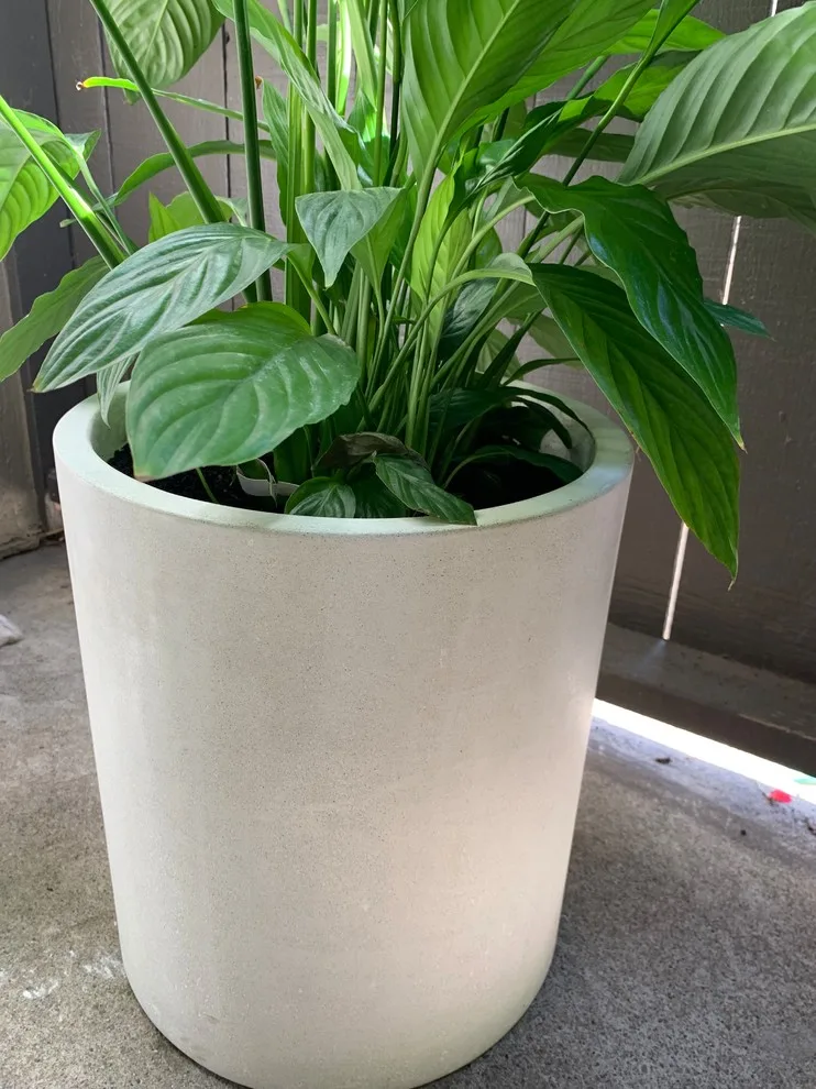 Circular Planter by West Oak Designs - Photo 2