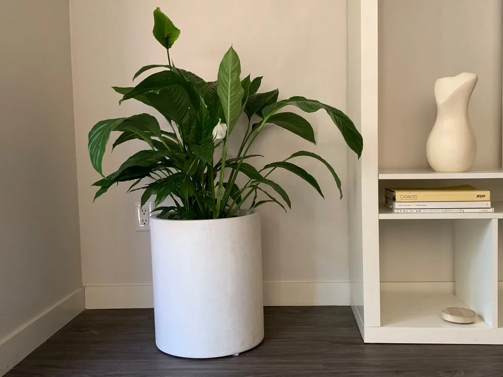 West Oak Designs - Photo 14