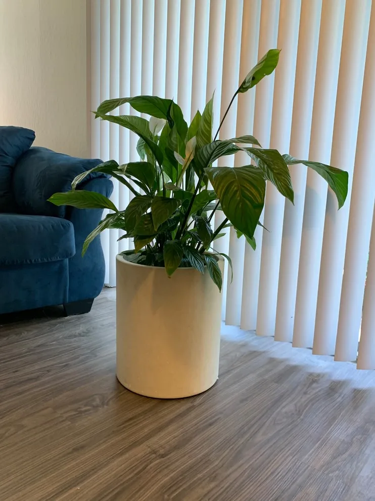 Circular Planter by West Oak Designs - Photo 5