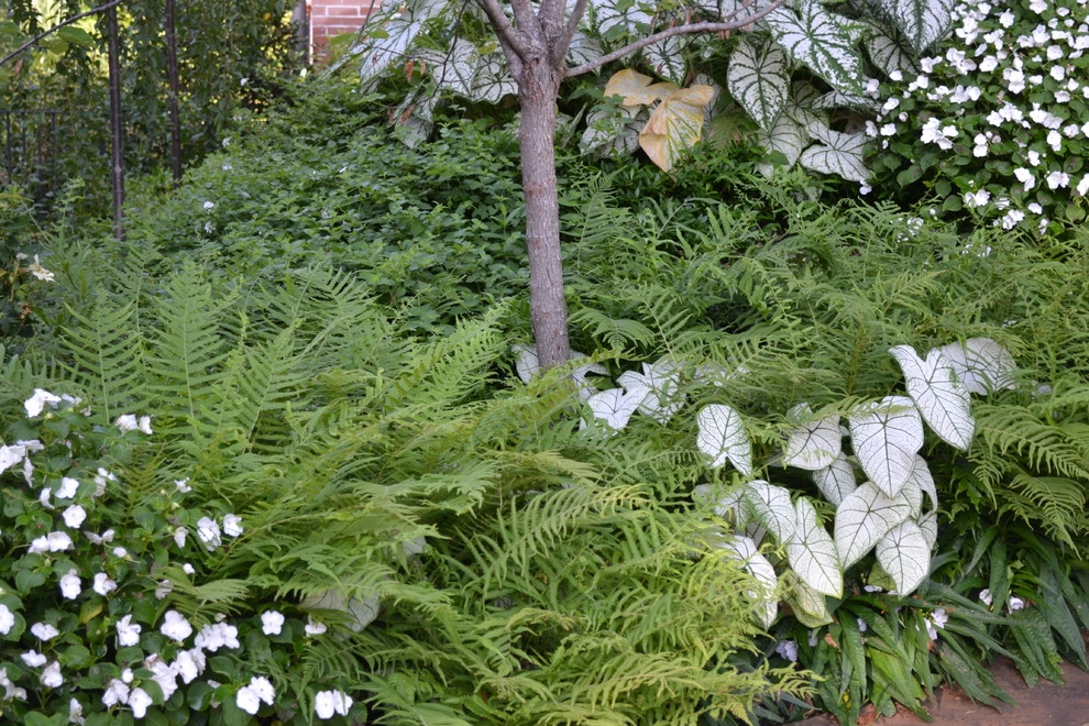 Landscape Design by Brumley Gardens - Photo 37