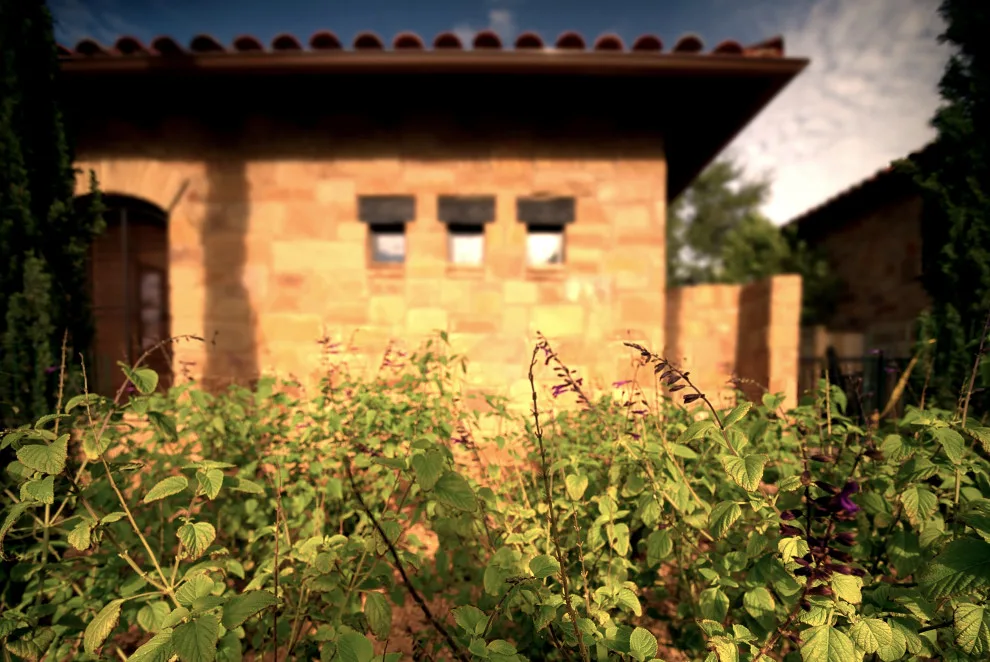 The Pool Shed by Hush House - Photo 11