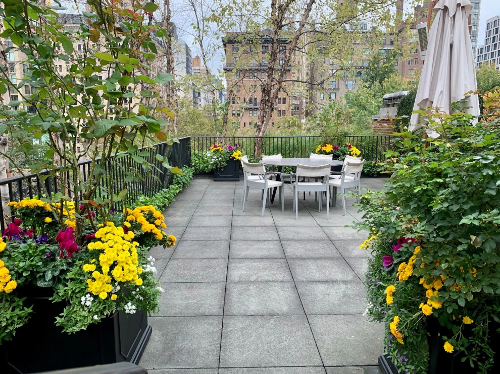 Fall Residential Landscape Design by Bella Gardens - Photo 5