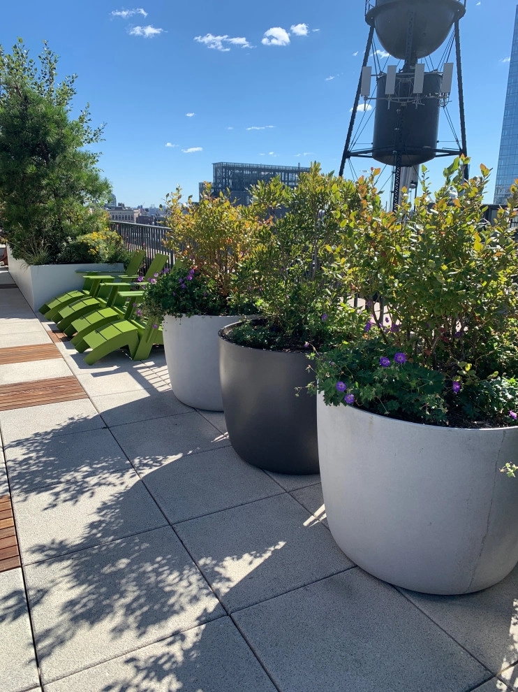 Rooftop Design by Bella Gardens - Photo 2