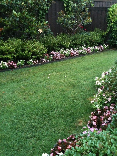 Brumley Gardens - Photo 14