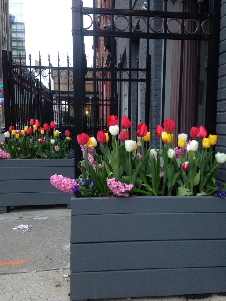 Bella Gardens - Photo 5