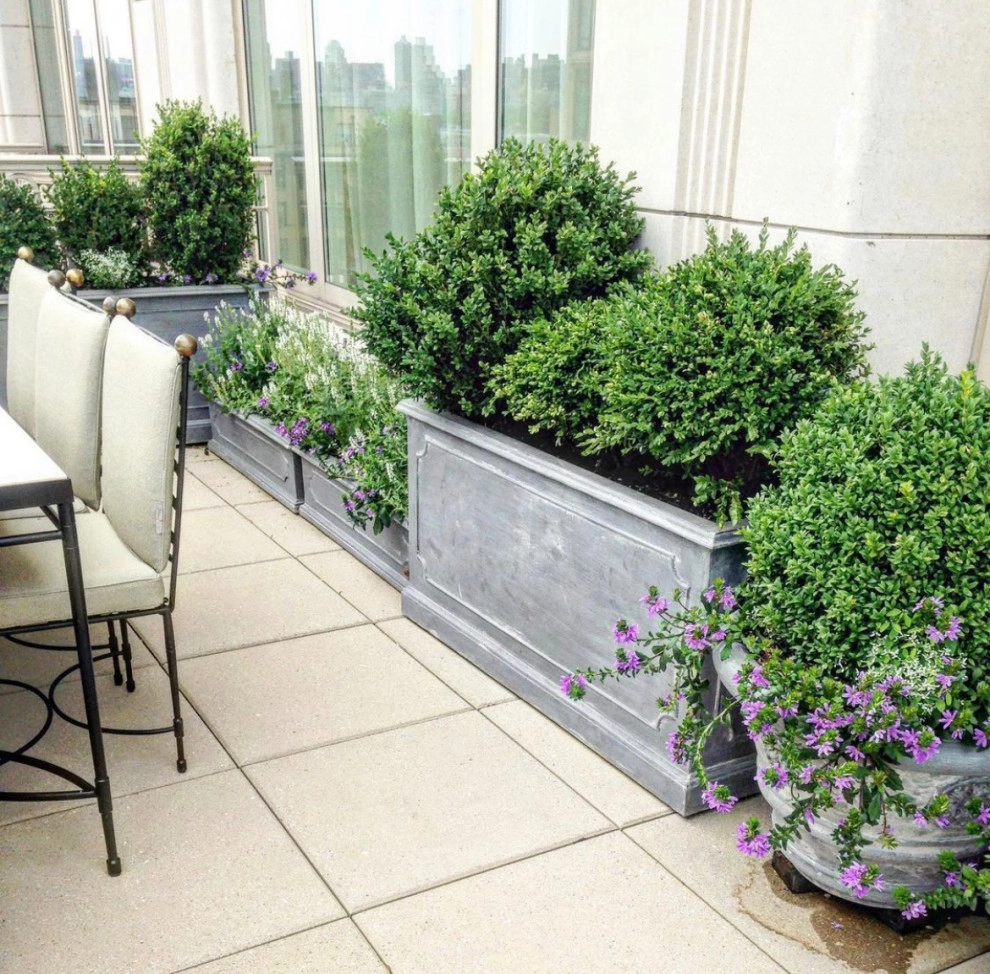 Bella Gardens - Photo 12